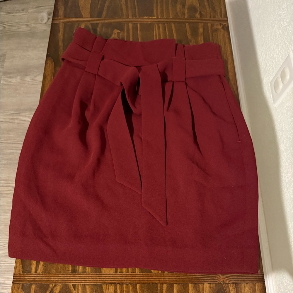 Express Pencil Skirt